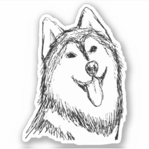 Husky Dog Sketch