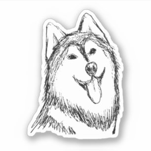 Husky Dog Sketch