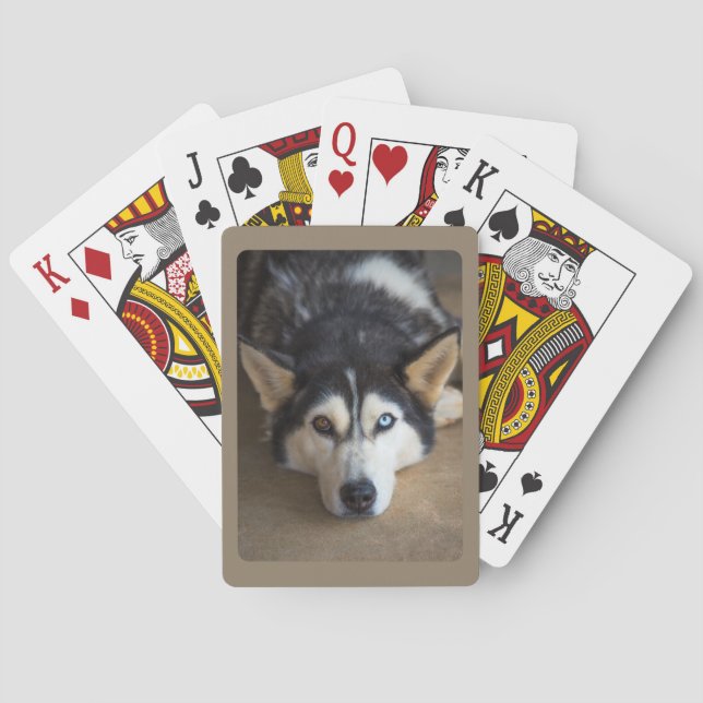 Husky Dog with Blue and Brown Eye  Playing Cards (Back)