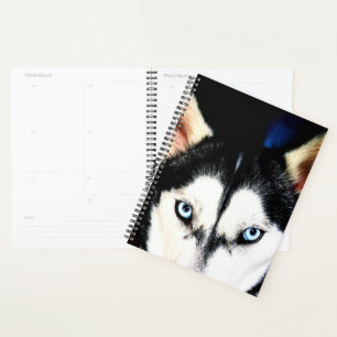 Husky Eyes Planner