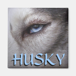 Husky Fridge Magnet Alaskan Sled Dog Magnet / Gift
