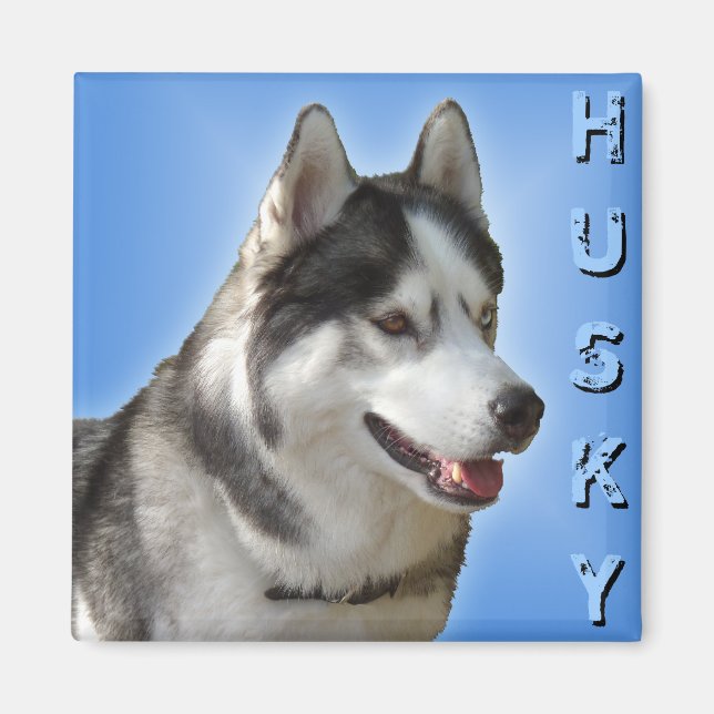 Husky Fridge Magnet Alaskan Sled Dog Magnet / Gift (Front)