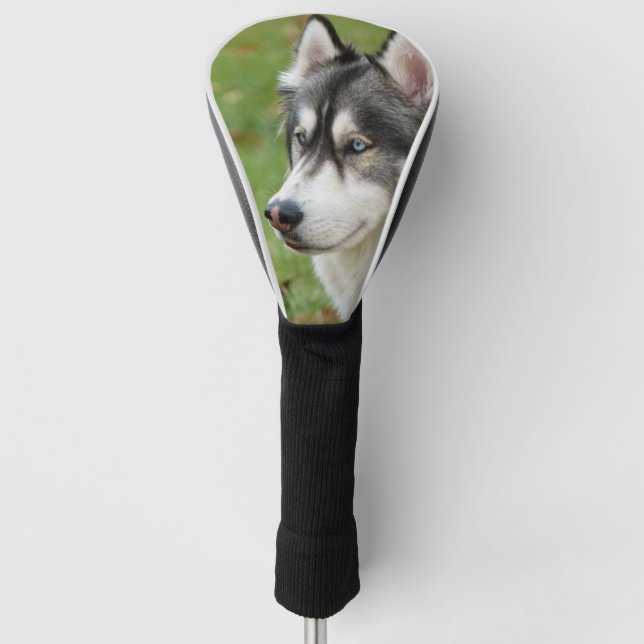 Husky Golf Head Cover (Front)