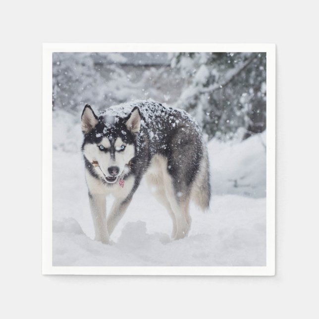 Husky in the snow napkin (Front)