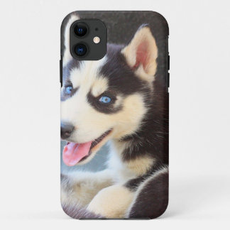 Husky iPhone 5 case
