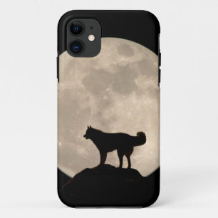 Husky iPhone 5 Case Siberian Husky Wolf Dog Cases