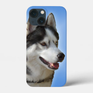 Husky iPhone 6 case Siberian Husky Malamute Cases