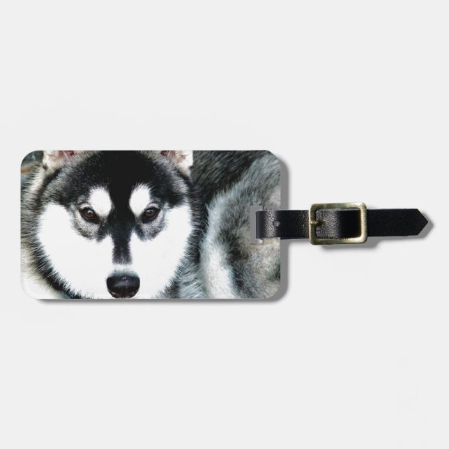 Husky Luggage Tag (Front Horizontal)