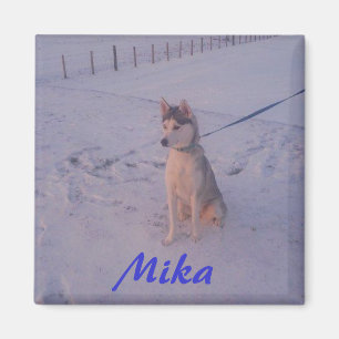 Husky.Mika.magnet Magnet