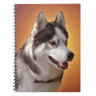 Husky Notebook Siberian Husky Gifts & Books