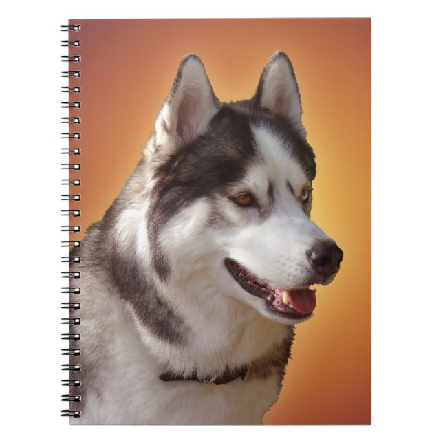 Husky Notebook Siberian Husky Gifts & Books (Front)