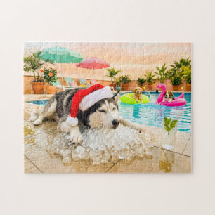 Husky on the rocks at Christmas Jigsaw Puzzle
