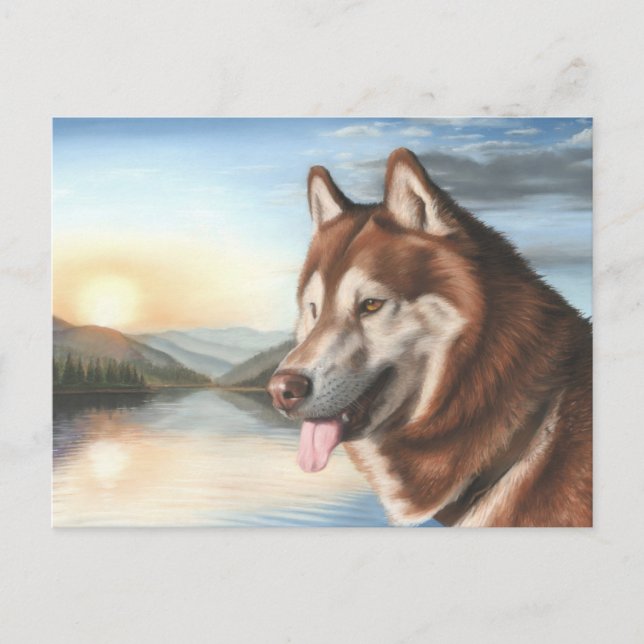 Husky Postcard (Front)