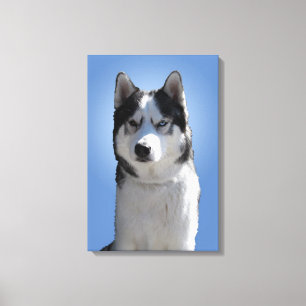 Husky Print Stretched Husky Malamute Dog Canvas