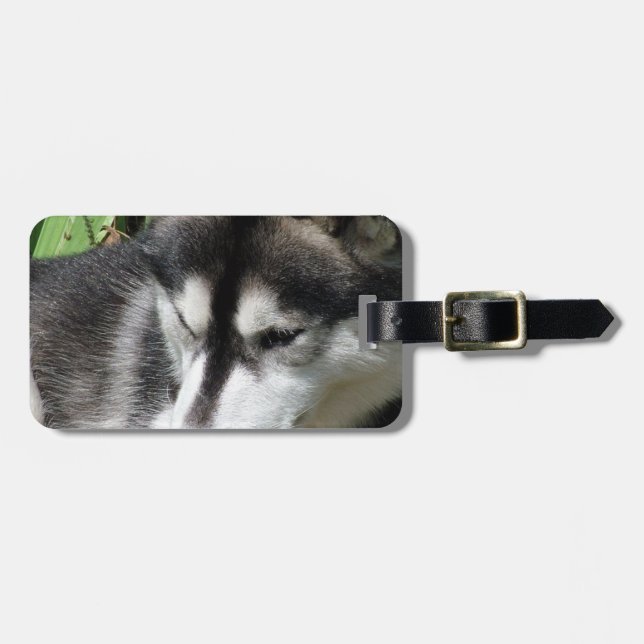 Husky Profile Luggage Tag (Front Horizontal)