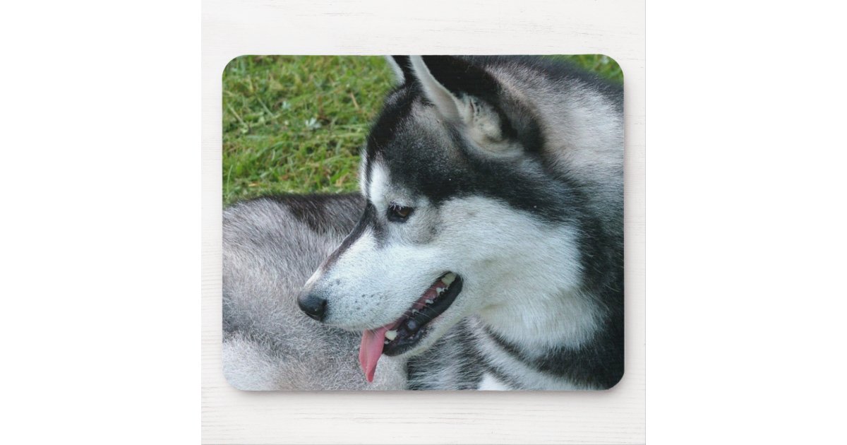 Husky Profile Mouse Pad | Zazzle