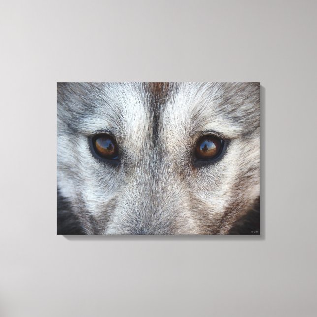 Husky Pup Print Husky Wolf Pup Canvas Print (Front)