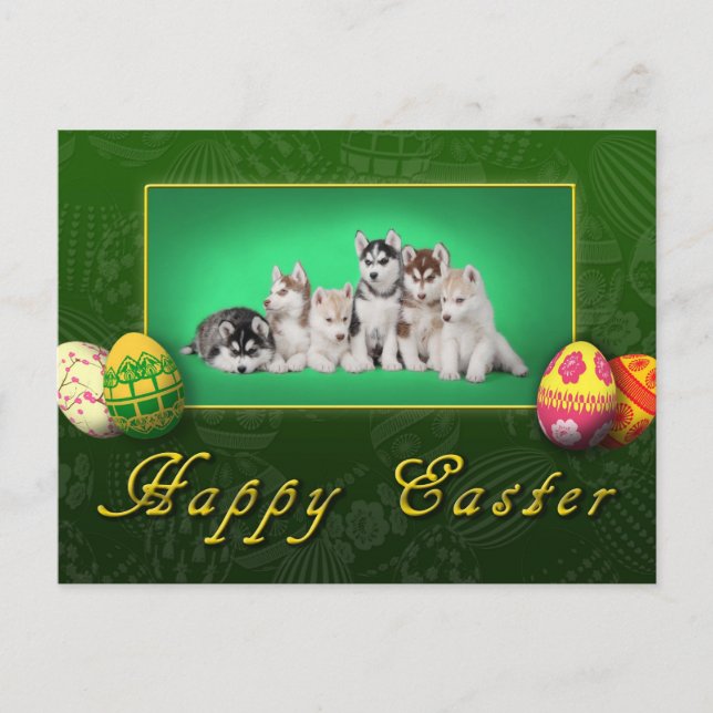 Husky puppies Easter Holiday Postcard (Front)
