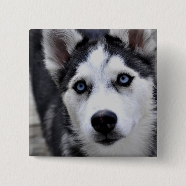 Husky Puppy Button (Front)