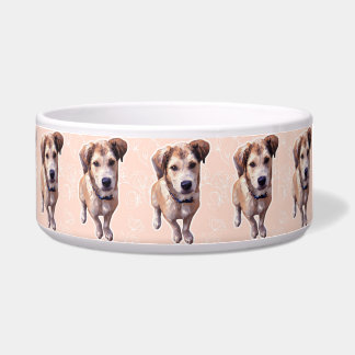 Husky Puppy Ceramic Pet Bowl