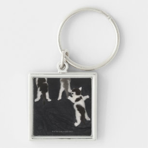 Husky Puppy Key Ring
