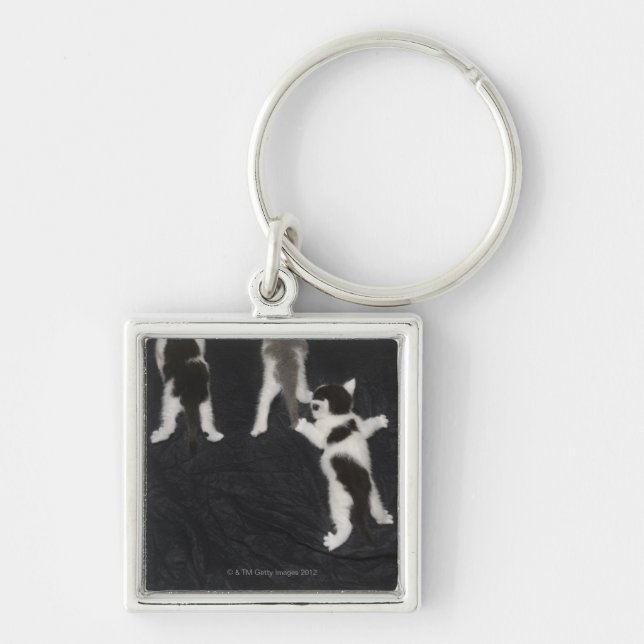 Husky Puppy Key Ring (Front)
