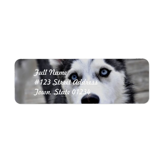 Husky Puppy Mailing Labels (Front)