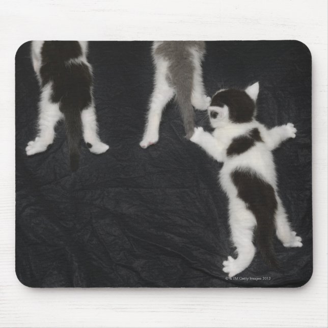 Husky Puppy Mouse Mat (Front)