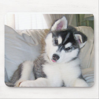 Husky Puppy Mousepad