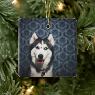Husky Puppy Posing with a Dark Bakground Ceramic Ornament