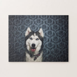 Husky Puppy Posing with a Dark Bakground Jigsaw Puzzle