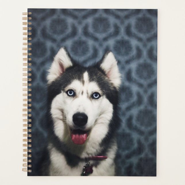 Husky Puppy Posing with a Dark Bakground Planner (Front)