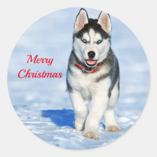 Husky Puppy Snow Photo Christmas Classic Round Sticker