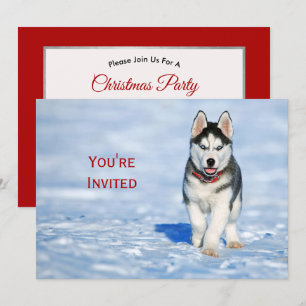 Husky Puppy Snow Photo Christmas Invitation