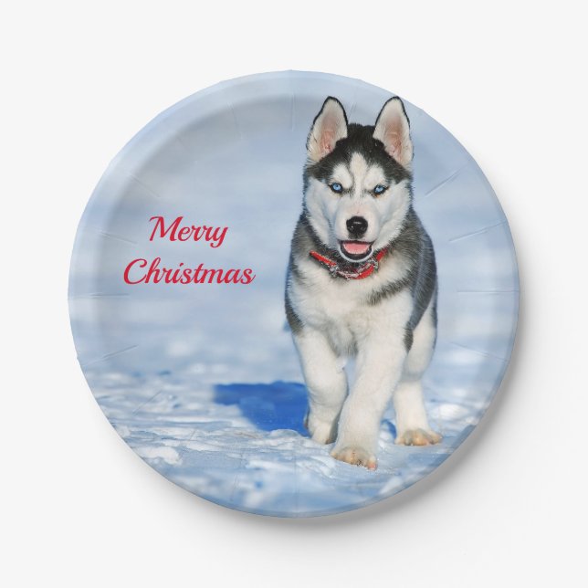 Husky Puppy Snow Photo Christmas Paper Plate (Front)