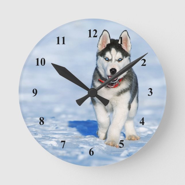 Husky Puppy Snow Photo Round Clock (Front)