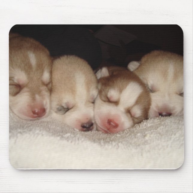 husky pups mouse mat (Front)