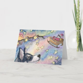 Husky Sleigh Dogs Holiday Card