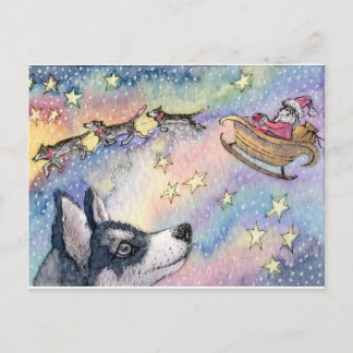 Husky Sleigh Dogs Postcard