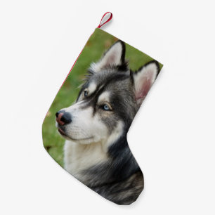 Husky Small Christmas Stocking