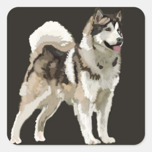 Husky   Sticker