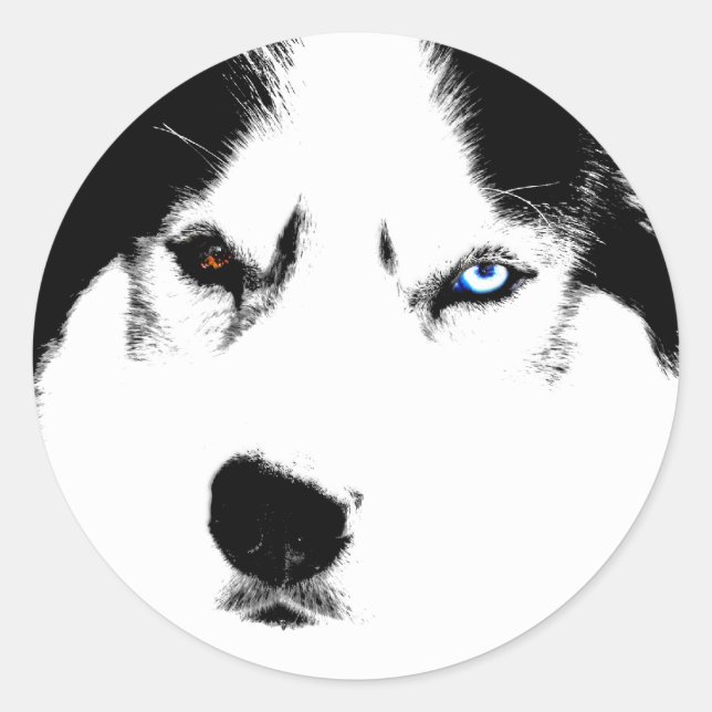 Husky Stickers Siberian Husky Malamute Stickers (Front)