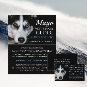Husky, Veterinarian, Veterinary Service Flyer