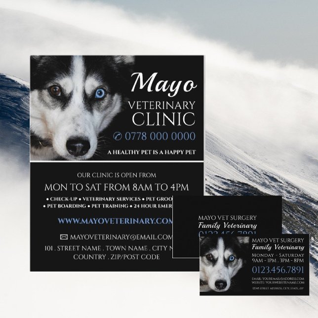 Husky, Veterinarian, Veterinary Service Flyer (Creator Uploaded)