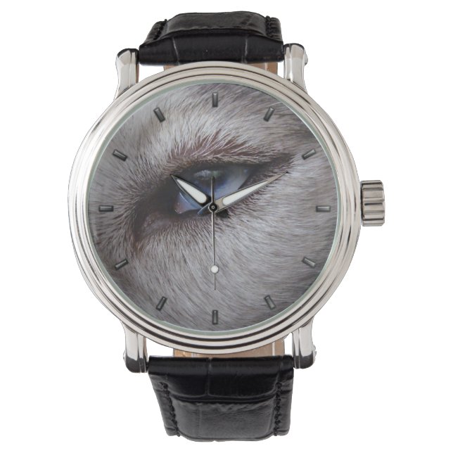 Husky Watch Siberian Husky Malamute Wrist Watch (Front)