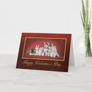 Huskys Valentine's day Holiday Card