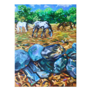 Hutchin Farm scene Photo Print