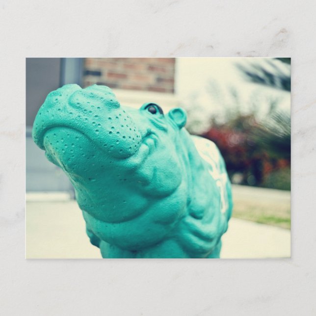 Hutto Hippo ! Postcard (Front)