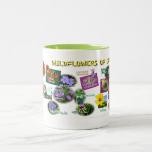 hv19 Oklahoma Wildflowers mug