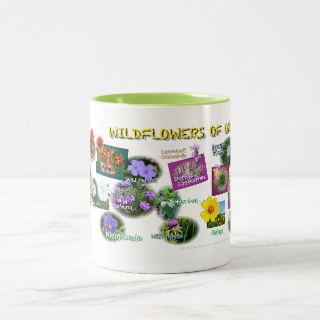 hv19 Oklahoma Wildflowers mug (Center)